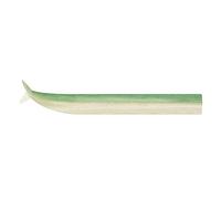 Fiiish Crazy Sand Eel 150 - 15Cm - Vert Nacre - CSE223
