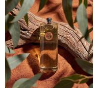 FiiLiT Parfum du Voyage Le Temps des Songes Australia - Eau de Parfum Boisée Aromatique Mixte - Santal, Eucalyptus, Cyprès Bleu - Rechargeable 95% Naturel - Recharge 100 ml