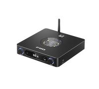 FIIO K13 Compact Desktop R2R Architecture DAC et amplificateur de Casque (Noir)