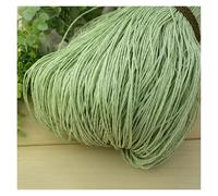 Fil à Crocheter Fil de paille de raphia coloré for tricot à la main, crochet, chapeau d'été, sac à main, chapeau de paille, matériel de crochet DIY(Color25)