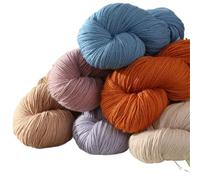 Fil à tricoter à crochet - 300 g - Fil épais de taille moyenne pour tricoter à la main, cardigan, pull, écharpe, châle, chapeau, chaud, lisse, doux et moelleux - Couleur : violet (Morning Glory Violet