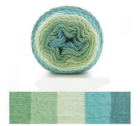 Fil à tricoter à la main effet arc-en-ciel, 100 g de fil de coton au lait avec motif unique de teinture par segment, compatible avec divers outils de tricot (D)