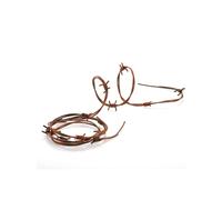 Carnival 08486 Fil barbelé