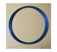Fil de mémoire en alliage de Nickel titane Nitinol Super élastique 0.6mm violet bleu jaune mémoire pêche aux crevettes équilibre couleur fil magique(Blue D0.6mm,2m)