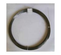 Fil de mémoire en alliage de Nickel titane Nitinol Super élastique 0.6mm violet bleu jaune mémoire pêche aux crevettes équilibre couleur fil magique(Silver D0.6mm,1m)