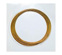 Fil de mémoire en alliage de Nickel titane Nitinol Super élastique 0.6mm violet bleu jaune mémoire pêche aux crevettes équilibre couleur fil magique(Gold D0.6mm,1m)