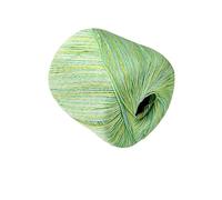 Fil dentelle coloré teint en sections n° 3, 200 g, for tricoter à la main, crocheter des pulls, des châles et des chapeaux(Green Field)