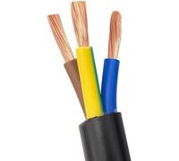Fil électrique, goulotte solide 2 cœurs/3 fils électriques, 2 mètres de couverture noire, câble standard en cuivre, 1 mm, 1,5 mm, 2,5 mm, 4 mm, 6 mm, connecteur de fil (couleur : 3 x 4 mm)(3x4mm)