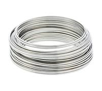 Fil en acier inoxydable 304 de 1,2 mm de 4,8 m pour bricolage, bricolage, bricolage, bricolage, bricolage, bélière, sculpture, fil artistique, fil d'entraînement pour bonsaï, fil de jardin