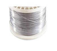Fil en acier inoxydable de 50 m de diamètre 0,16 mm (Aisi - 321/1.4541 / X6CrNiTi18-10) - Fil de liaison - Fil de jardinage - Fil de bricolage