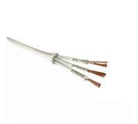 Fil ignifuge à âme en cuivre pur, 2 5 brins, fil tressé mica résistant aux hautes températures, 20 AWG 11(3 Core 1meter,15 AWG 1.5mm)