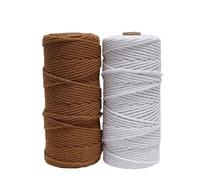 Fil Macramé Cordon de macramé en Coton coloré 3,0 mm 100 m, Corde torsadée Douce for Le Tissage Bricolage, tenture Murale, Cintre for Plantes et Fournitures décoration intérieure Boho(Set033-2PCS)