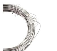 Fil métallique flexible en acier inoxydable, Fil d'acier inoxydable 0.3-1mm, rouleau de 10m for la fabrication bijoux, cordon perles, artisanat(0.6mm)