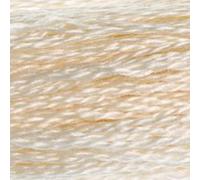 Mouline Gold Concept 1 Echev De 8m