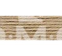 DMC Fil Retors Canevas et Tapisserie Col. 2169 - D