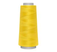 Fil Toldi-Lock 2.500 M (Boite De 5)