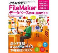 Filemaker Pro13/12/11/10 (Small Business Support)
