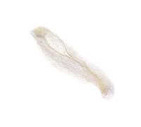 Filet à cheveux élastique invisible pour infirmières, danseurs, agents de bord, bonnets en maille fine pour infirmière, danseuse, agent de l'air, filet élastique pour infirmières