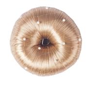 Filet à cheveux femme HORKA Pearl Doré TU