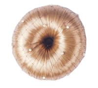 Filet à cheveux femme HORKA Pearl Marron TU