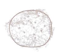 Filet à cheveux femme QHP Invisible Pearl Beige Standard