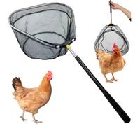 Filet à poulet rétractable long et pliable, épais, portable, outils agricoles adaptés pour attraper des volailles, des dindes, oies