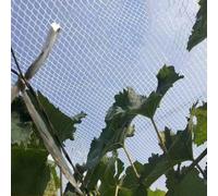 Filet Anti-grêle Insecte pour Potager, Filet De Protection pour Jardin - Anti Oiseaux pour la Protection des Plantes Fleurs Légumes Fruits, RéUtilisable(2x5m)