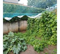 Filet Anti-GrêLe pour Potager, Filet De Protection pour Jardin Arbres Fruitiers, Vergers, Feuilles pour Bassin, Robuste Et RéSistant, RéUtilisable, 10X10M(3x5m)