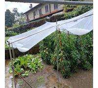 Filet Anti-Grêle pour Potager Serre et Jardin - Haute Résistance HDPE, Maille 5 mm - Protege Fruit et Legumes, Protection Contre Les Dommages Causés par la Grêle(8 x 100 m/26.2 x 328.1 ft)