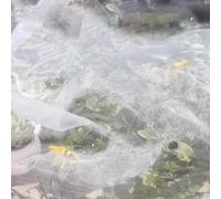 Filet Anti Insectes en Maille Potager, Arbre Fruitier Filet de Protection, Filet de Jardin Blanc, Filet Anti Grele, pour la Protection des Plantescontre Insectes Punaises(3x15m)