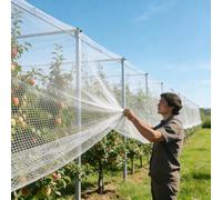 Filet Anti Insectes Oiseaux pour Arbre Fruitier, Filet Anti-Grêle pour Jardin Vergers Et Potagers Robuste et RéSistant, Bloquer Les Feuilles Tombées, 10x10m(12x50m)
