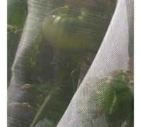 Filet Anti-Insectes Transparent TENAX Microfender 2,00 x 5