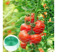 Filet Anti Oiseaux, 2 x 10 M Filet Oiseaux Mailles Fines, Filets Protection Oiseaux, Filets de Protection, pour Bassin, Jardin, Volière, Arbres Fruitiers, Hérons, Pigeons, Plantes