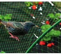 Filet Anti-Oiseaux - Filet de 2 x 10 m, résistant aux intempéries, idéal pour protéger Les Cultures, Installation Facile et Haute durabilité.