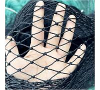 Filet Anti-Oiseaux Noir-Filets De Jardin Robustes Balcon Filet à Oiseaux Clôture De Jardin Et Cultures Clôture De Protection Maille Anti Oiseau Cerf Chat Chien, 2mx20m, 6 Strands-1cm