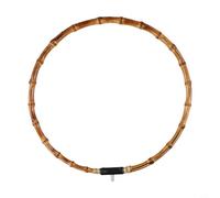 Filet d'atterrissage de pêche en plastique pour filets de pêche DIY Accessoire d'extérieur pratique adapté à la pêche à la mouche (30 cm)