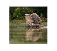 CARUBA Filet de Camouflage 4x1.5M Roseau