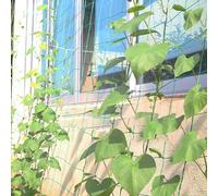 Filet de culture en polyéthylène avec maille de 10 x 10 cm pour soutenir les légumes et les fruits grimpants dans les jardins extérieurs (2,7 x 5 m)