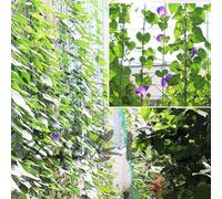Filet de culture en polyéthylène avec maille de 10 x 10 cm pour soutenir les légumes et les fruits grimpants dans les jardins extérieurs (3,6 x 1,8 m)