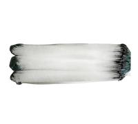 Filet de pêche réutilisable portable avec flotteur et affaissement rapide | Filet de pêche pour poissons, en lac, rivière, réservoir, rive, commun, carpin, tête