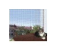 Trixie Filet de protection 8 × 3 m pour chat noir