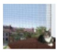 Trixie Filet de Protection Noir 8 × 3 m pour Chat