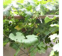 Filet De Protection Anti-Oiseaux,Filet De Culture Pour Arbres,Cultures Fruitières,Plantes,Étangs De Jardin - Type 2x10m