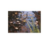 Filet de protection aquaculture Teicho 15,7gr/m² 3x2m en polyéthylène