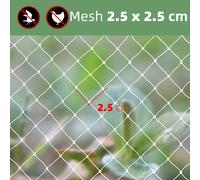 Filet De Protection Contre Les Oiseaux Rapduty,Couvertures Carrées Anti-Oiseaux,Filet De Protection Agricole,Maille Anti-Oiseaux,Jardin,Plantes,Fruits,2x1-20m - Type White Mesh 2.5x2.5cm-2x10m