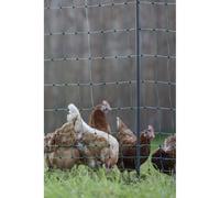 Filet De Protection Kerbl - Ne Premium - 106 Cm X 25 M - Vert - Pour Volailles Vert