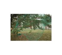 Ribiland - Filet de protection pour plantations - 5x5 m - Maille 18 mm - Anti-insectes