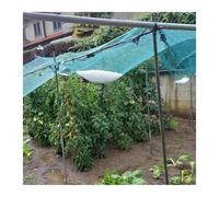 Filet de Protection pour légumes, Green HDPE 5mm Mesh Hail Netting Vegetable ION Multiple Sizes(3x10m)
