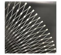 Filet de sécurité en acier inoxydable 304 antivol et anti-chute, clôture durable pour volaille, terrain de football, jardin et ferme (L 2 x l 2 m)