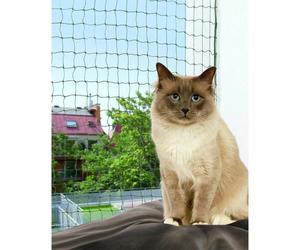 Filet de Sécurité pour Animaux de Compagnie Trixie Noir Nylon